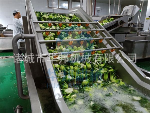 油菜漂燙殺青機(jī)  果蔬漂燙冷卻流水線